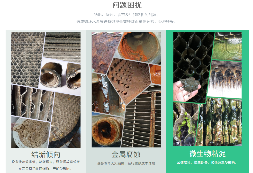 研发平台(图1)
