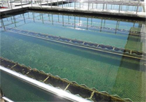 低浊度废水混凝沉淀技术