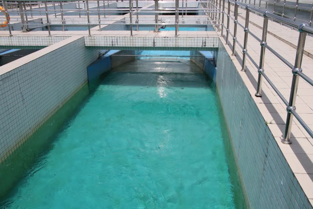 遭受到污染水体生态修复技术
